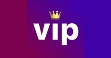 vip casino online